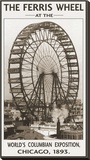 The Ferris Wheel  1893