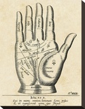 Palmistry: Palm Diagram