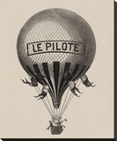 Le Pilote
