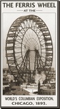 The Ferris Wheel  1893