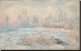 Le Givre  1880