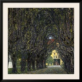 Allee Im Park Von Schloss Kammer