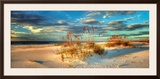 Beach Dream II