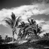Santa Maria Beach  Havana  Cuba