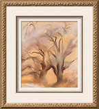 Winter Cottonwoods