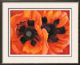 Oriental Poppies  1928