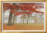 Autumn Mist I