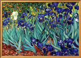 Irises  Saint-Remy  c1889