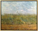 Wheat Field with a Lark