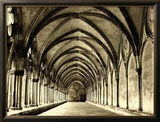 Salisbury Arches