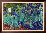 Irises  Saint-Remy  c1889