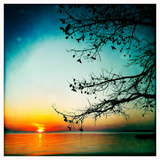 Sunset on Calm Albemarle Sound