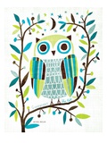 Night Owl II