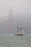 A Two Masted Schooner Sails under the Golden Gate Bridge