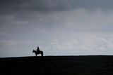 A Man on Horseback on the Mongolian Steppe
