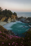 Mcway Waterfall and Pink Flowers Just after Sunset