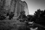 The Canyon De Chelly Anasazi Ruins and a Horse Crossing a Stream
