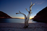 Oddly Placed Driftwood and an Anchored Sailboat in a Secluded Cove