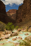 Hiker Walking in the Turquoise Waters of Havasu Canyon