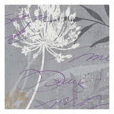 Greenology Gray