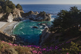 Mcway Waterfall and Pink Flowers Overlook a Cove Near Big Sur