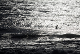 A Surfer Sits Alone Out in the Waves