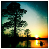 A Couple Paddles a Canoe at Sunset Past Cypress Trees