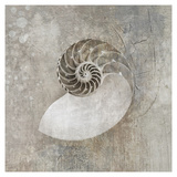 Nautilus I
