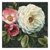 Floral Damask II
