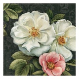 Floral Damask III