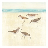 Sand Pipers Square II
