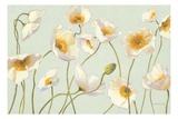 White and Bright Poppies