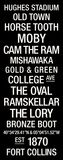 Colorado State: College Town Wall Art