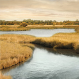 Morning Calm II