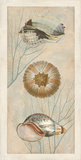 Ocean Companions II
