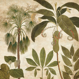 Palm Persuasion II