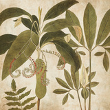 Palm Persuasion I