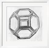 Polyhedron  from "De Divina Proportione" by Luca Pacioli  Published 1509  Venice