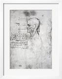 Head of an Old Man in Profile  Facsimile Copy