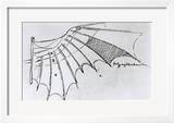 Detail of a Mechanical Wing  1488-89
