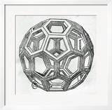 Icosahedron  from "De Divina Proportione" by Luca Pacioli  Published 1509  Venice