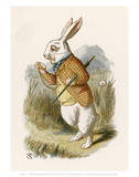 Hare