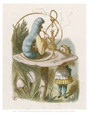 Alice Mushroom