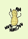 I Am Nuts About You