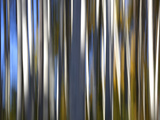 Electric Slide - Trees