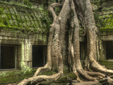 The Ta Prohm Temple Located at Angkor in Cambodia