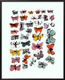 Butterflies  1955