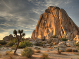 Sunset at Joshua Tree National Park in Southern California
