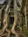 The Ta Prohm Temple Located at Angkor in Cambodia