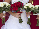 Wedding Day